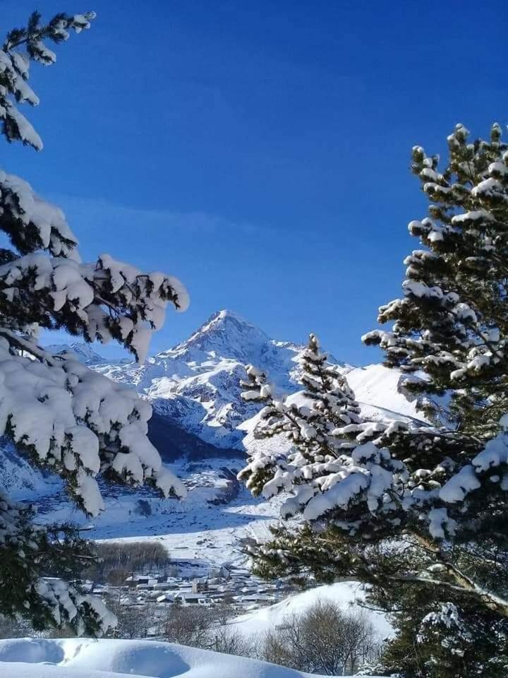 Tamila Guest House Kazbegi Luaran gambar
