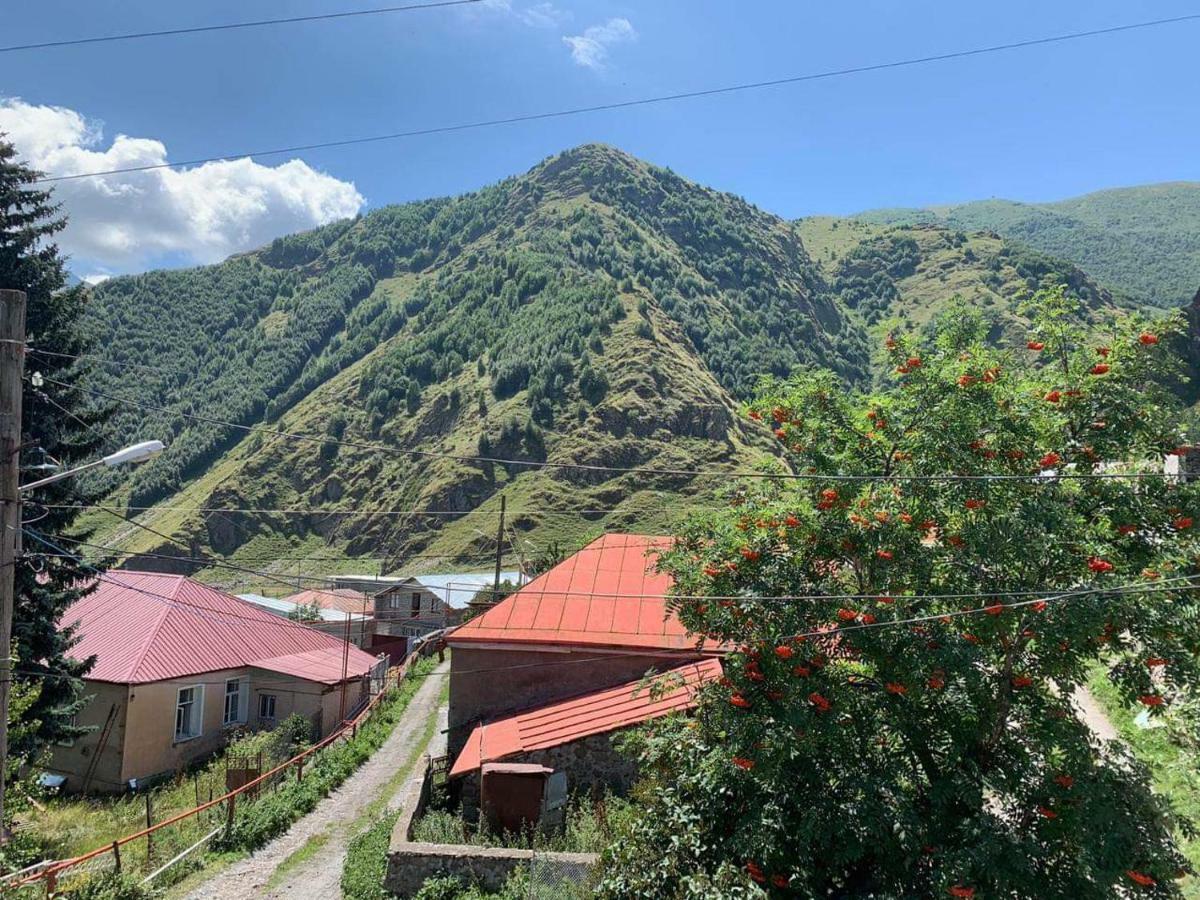 Tamila Guest House Kazbegi Luaran gambar